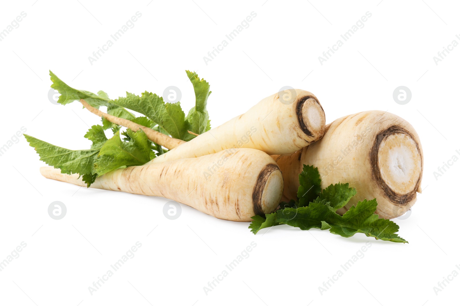 Photo of Tasty fresh ripe parsnips on white background