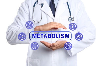 Image of Metabolism concept. Doctor with stethoscope on white background, closeup