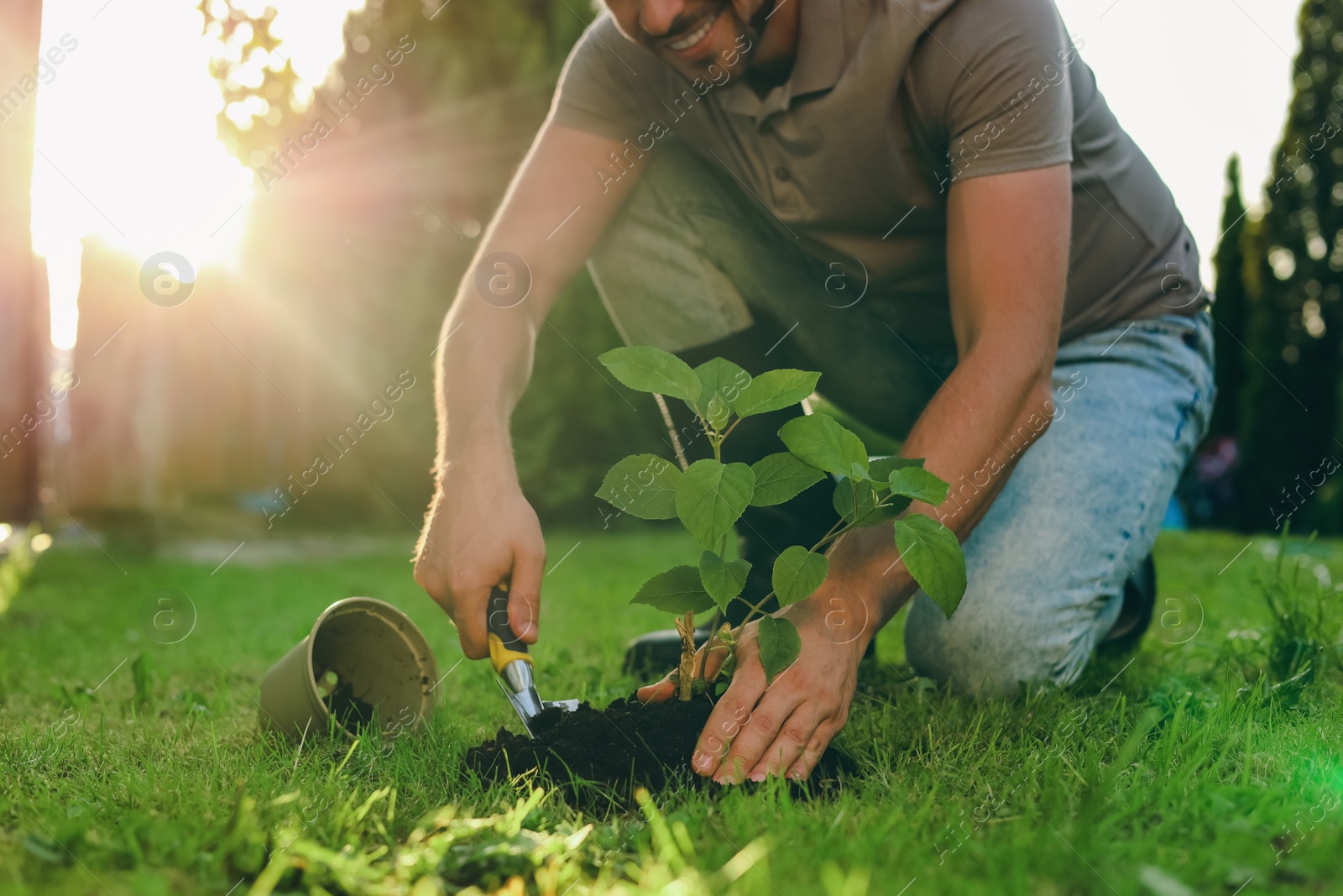 Photo of Man transplanting beautiful plant into soil outdoors on sunny day, closeup. Gardening time