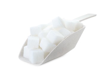 Photo of Sugar cubes in scoop isolated on white