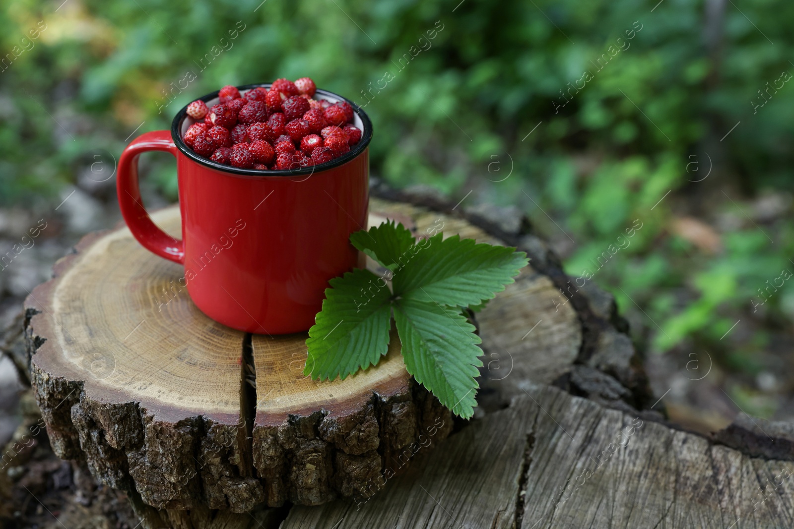 Photo of Mug of tasty wild strawberries and leaves on stump against blurred background. Space for text