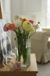 Photo of Beautiful ranunculus flowers in vase on wooden chair indoors