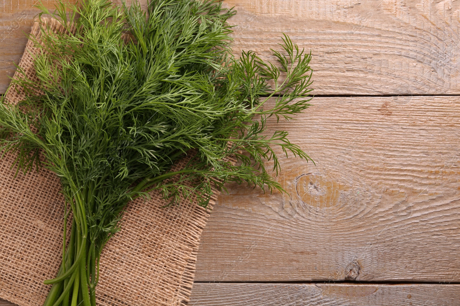 Photo of Sprigs of fresh dill on wooden table, top view. Space for text