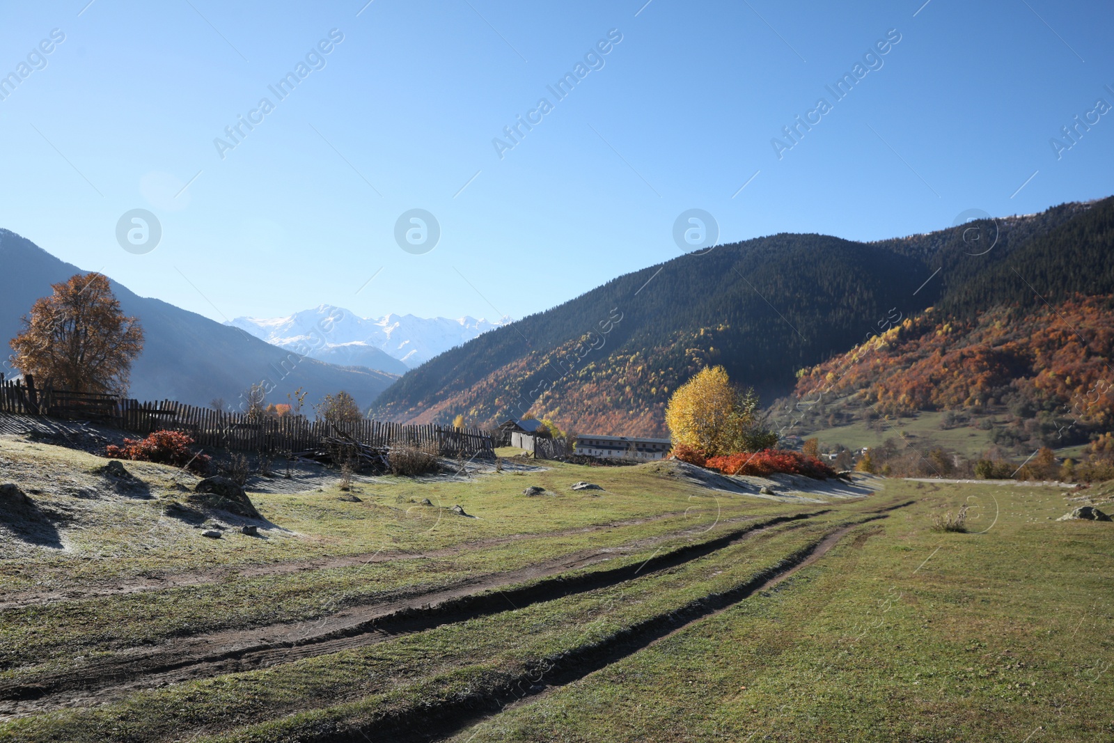 Photo of Picturesque view of empty pathway in mountains on sunny day