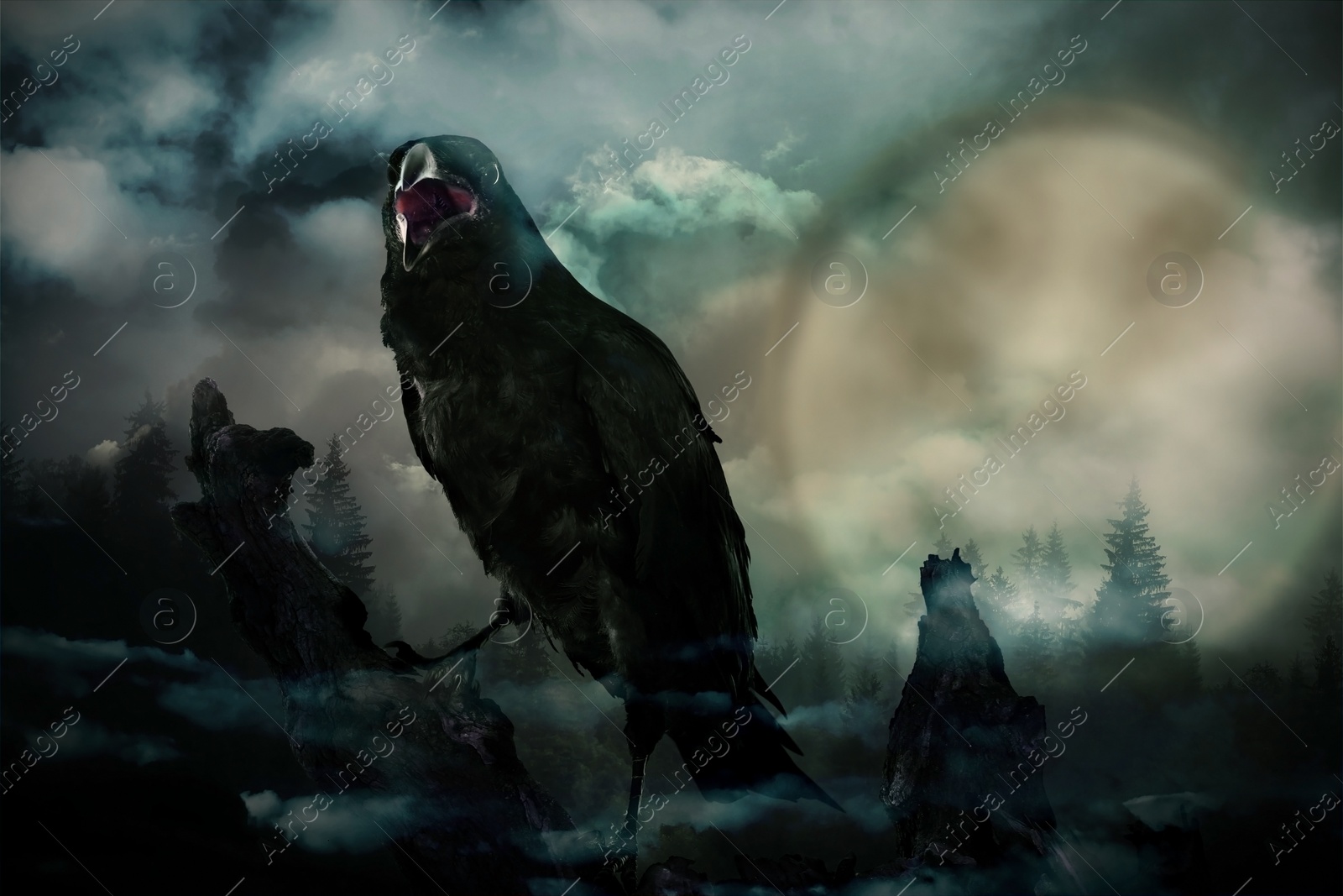 Image of Creepy black crow croaking in misty dark forest on full moon night