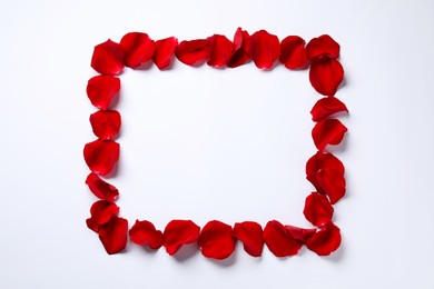 Frame of beautiful red rose petals on white background, top view
