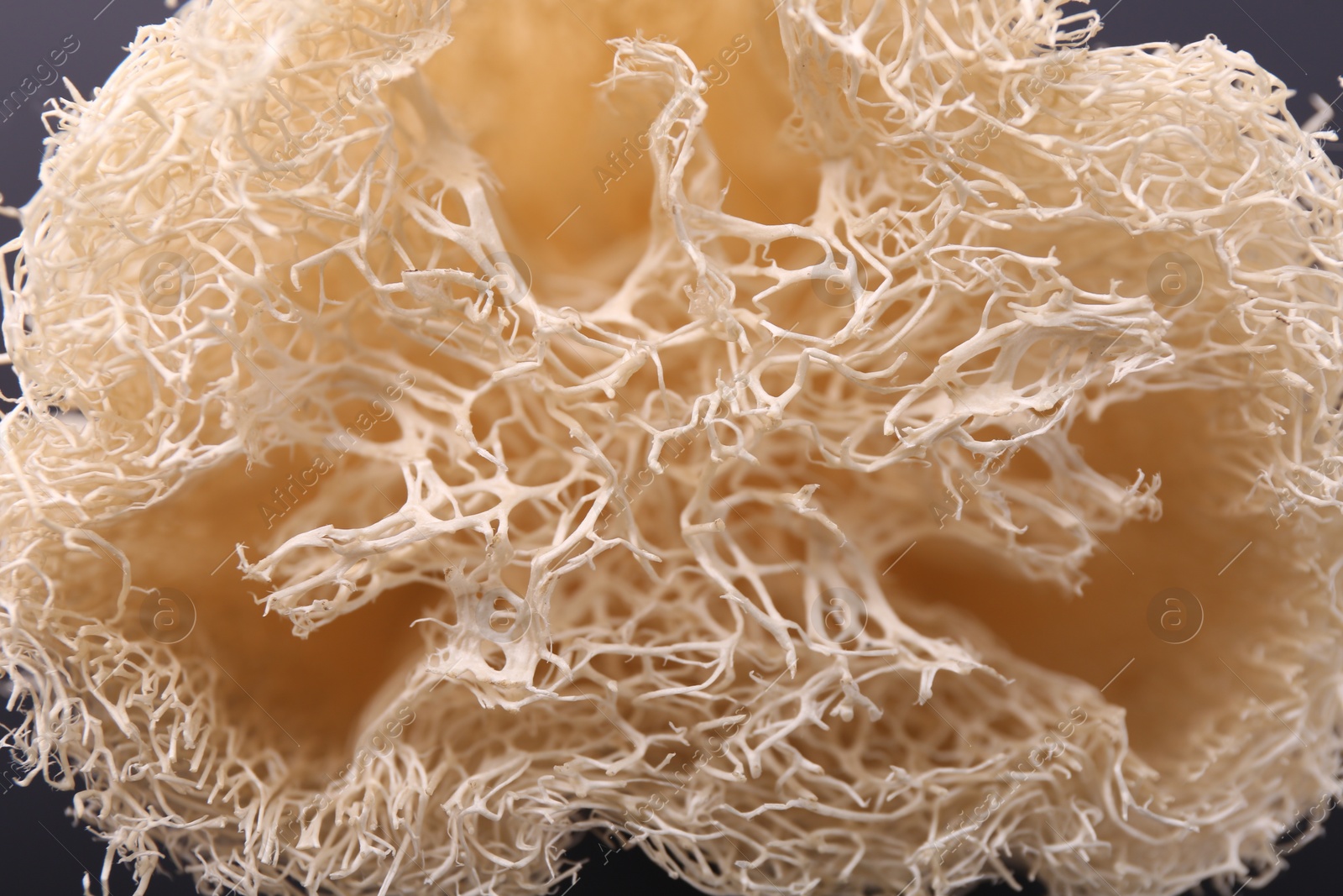 Photo of Natural loofah sponge as background, closeup view
