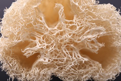 Natural loofah sponge as background, closeup view