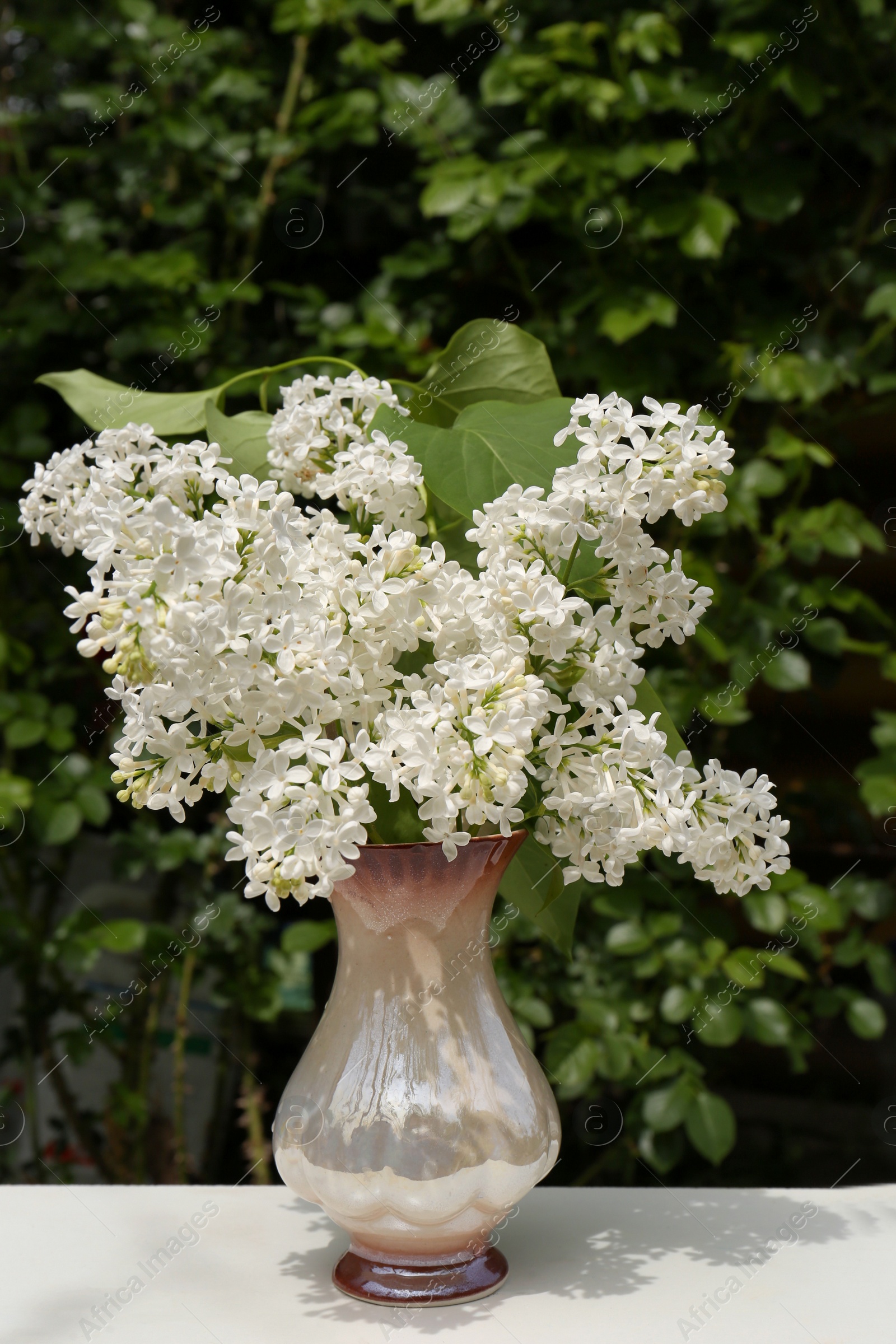 Photo of Beautiful lilac flowers in vase on white table outdoors