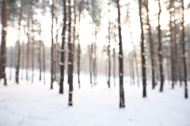 Photo of Beautiful snowy forest in winter, blurred view