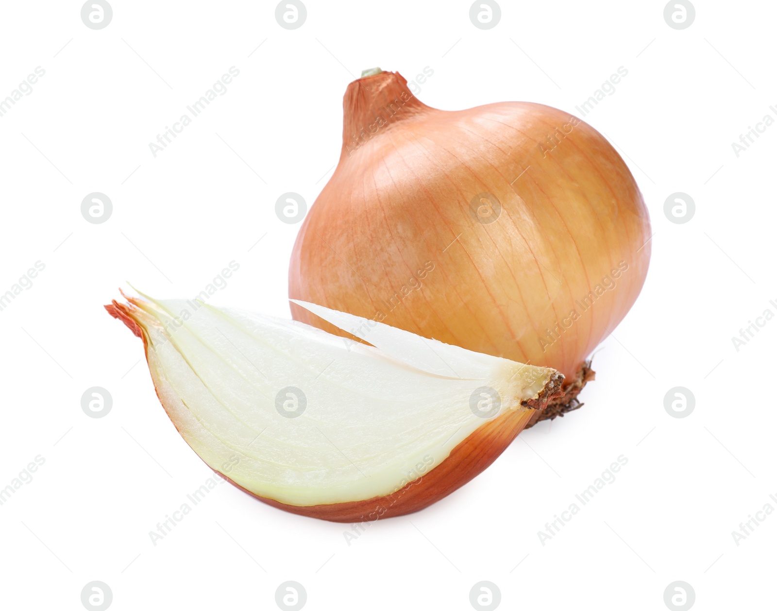 Photo of Whole and cut onions on white background