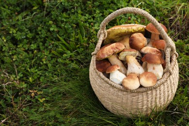 Wicker basket with fresh wild mushrooms outdoors, space for text