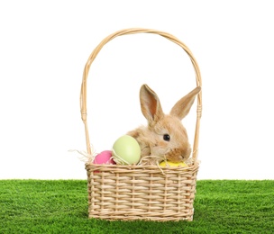 Photo of Adorable furry Easter bunny in wicker basket and dyed eggs on green grass against white background