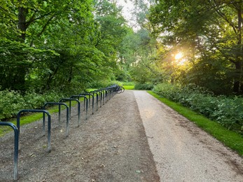 Parked bicycles near metal stands in green park