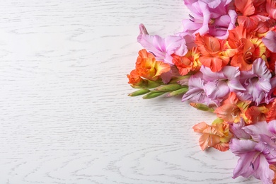 Photo of Beautiful gladiolus flowers on light wooden background