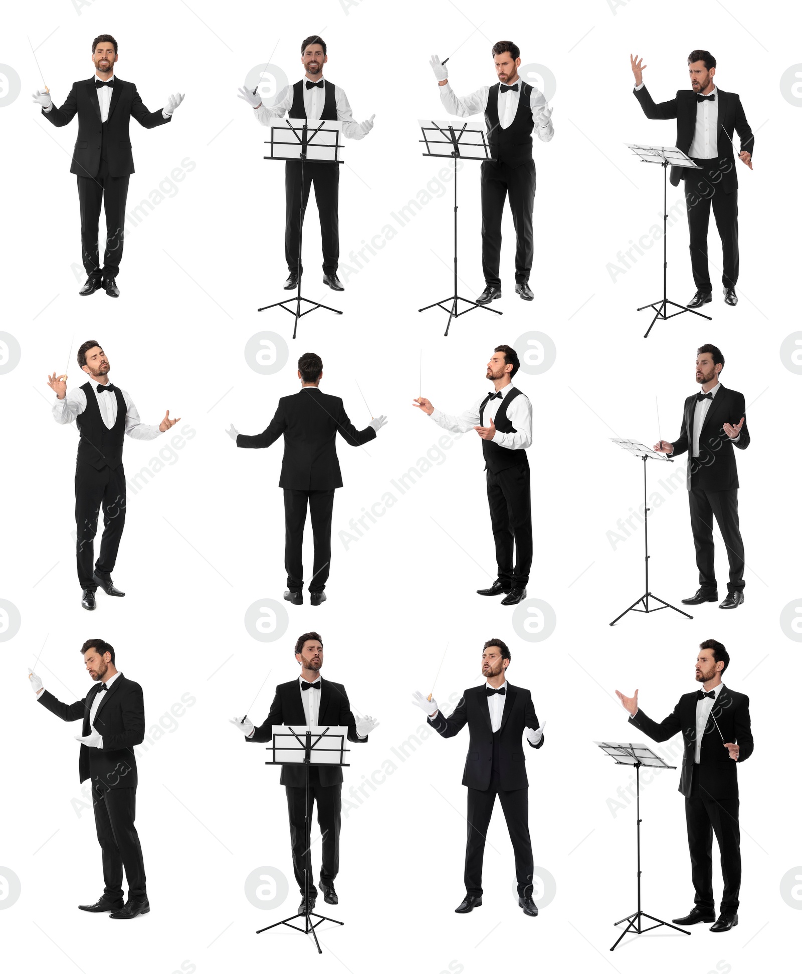 Image of Collage with photos of professional young conductor with baton on white background