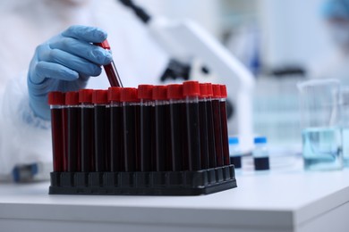 Scientist working with samples in test tubes in laboratory, closeup