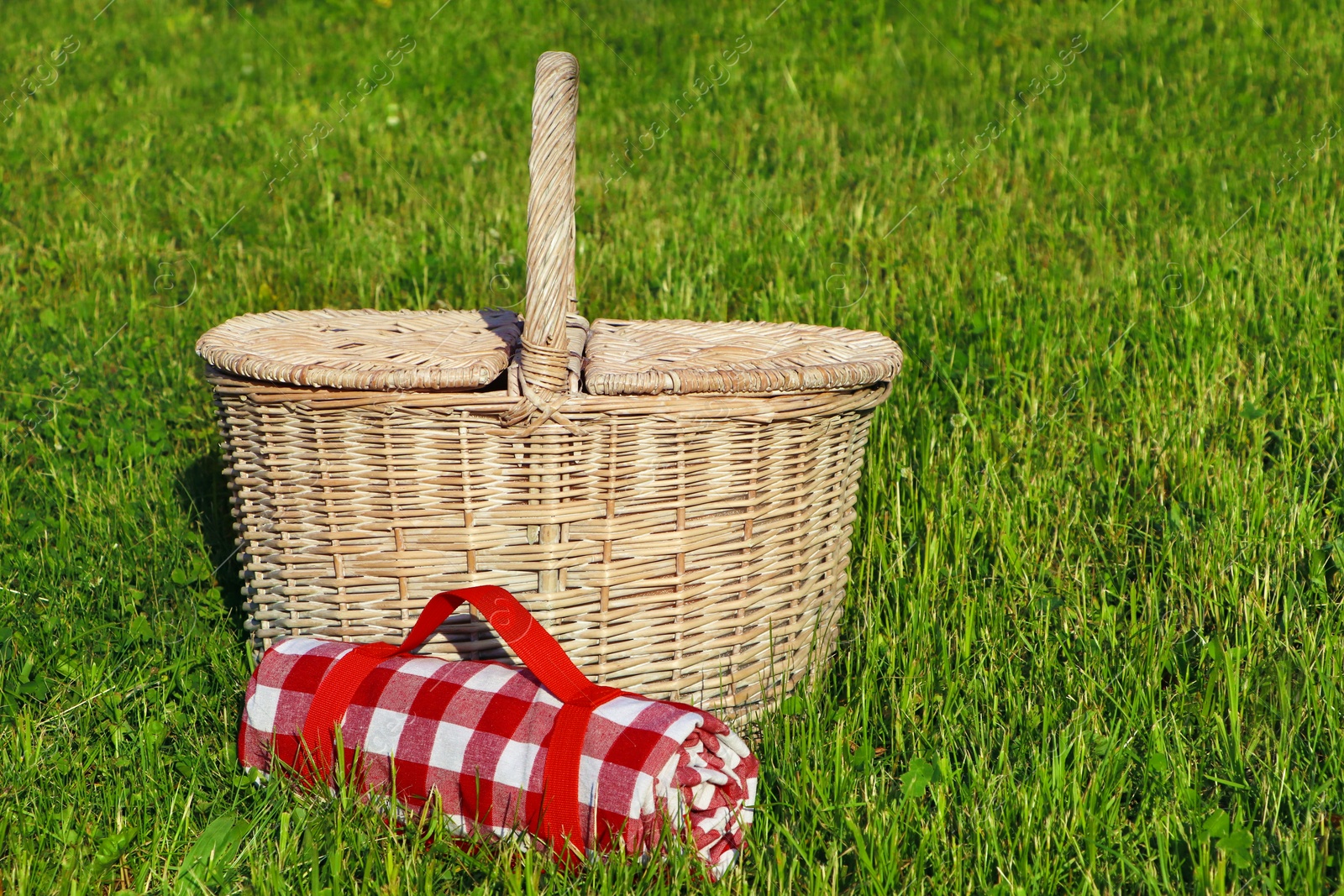 Photo of Rolled checkered tablecloth near picnic basket on green grass outdoors, space for text