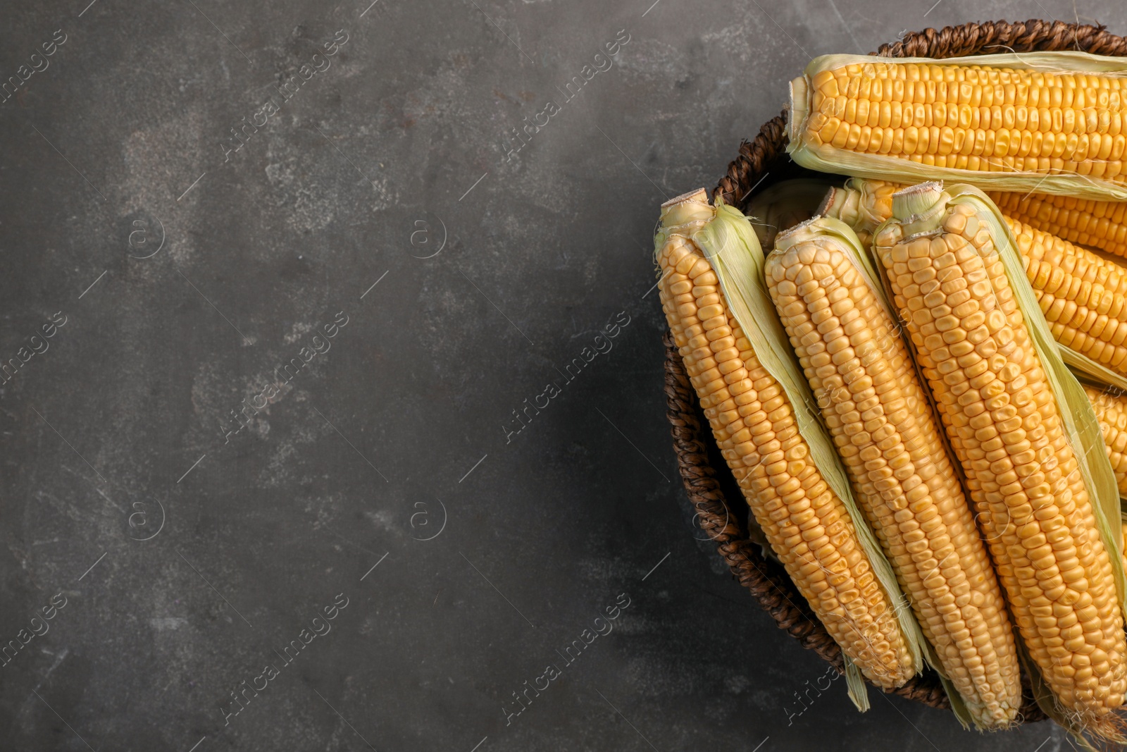 Photo of Basket with tasty sweet corn cobs on grey background, top view