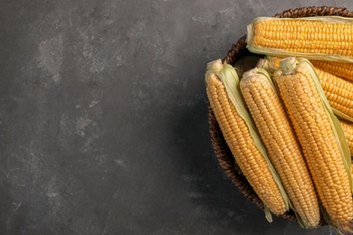 Photo of Basket with tasty sweet corn cobs on grey background, top view