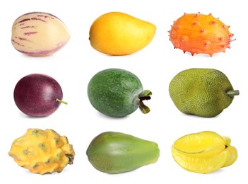 Image of Set with different tasty exotic fruits on white background