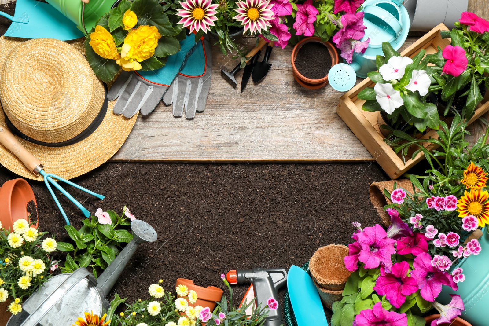 Photo of Flat lay composition with gardening equipment and flowers on soil, space for text