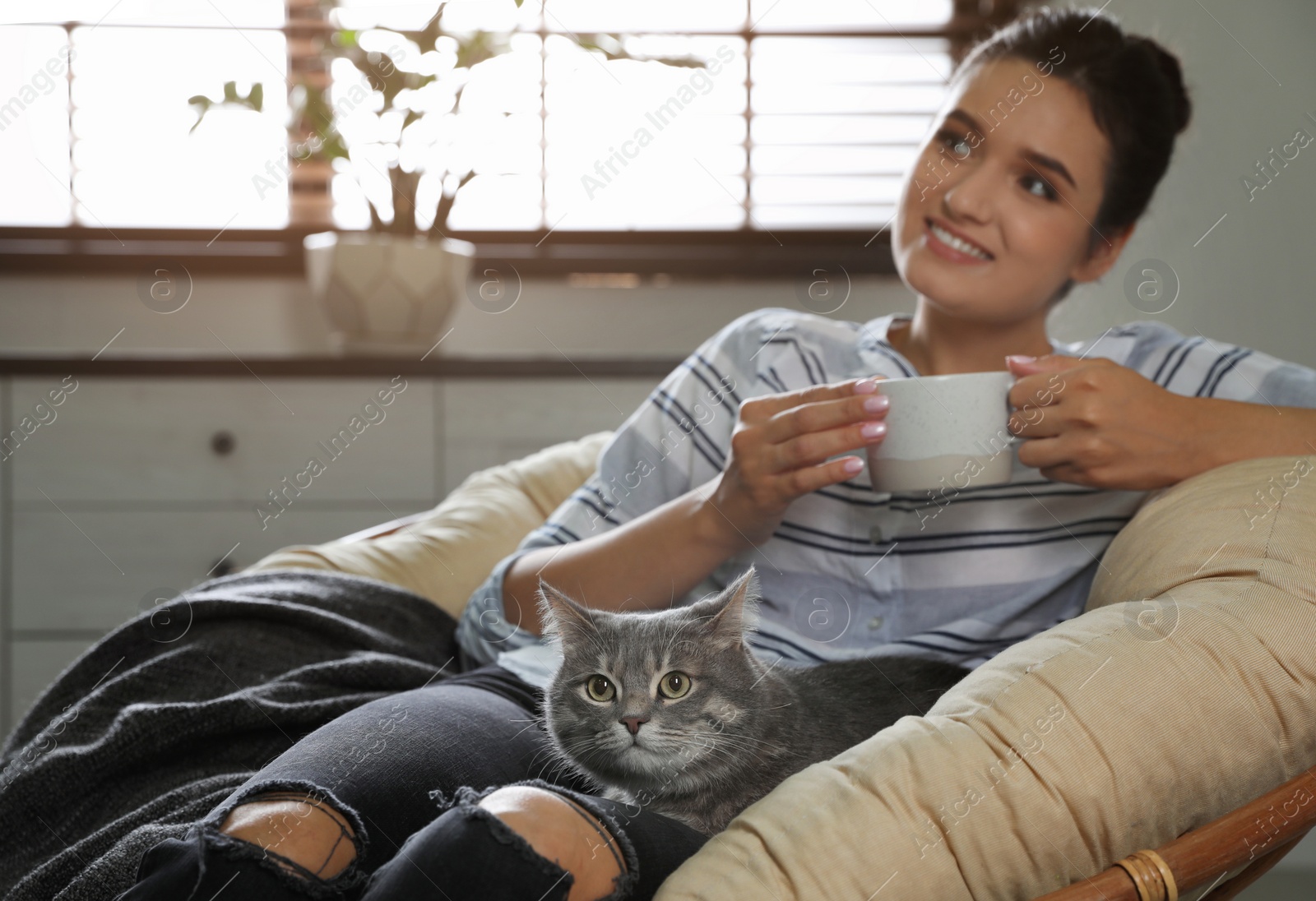 Photo of Young woman with cute cat on armchair at home. Pet and owner