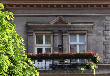 Photo of Balcony of old building decorated with beautiful blooming potted plants on sunny day