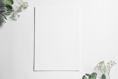 Photo of Empty sheet of paper, gypsophila flowers and decorative eucalyptus leaves on white background, flat lay. Mockup for design
