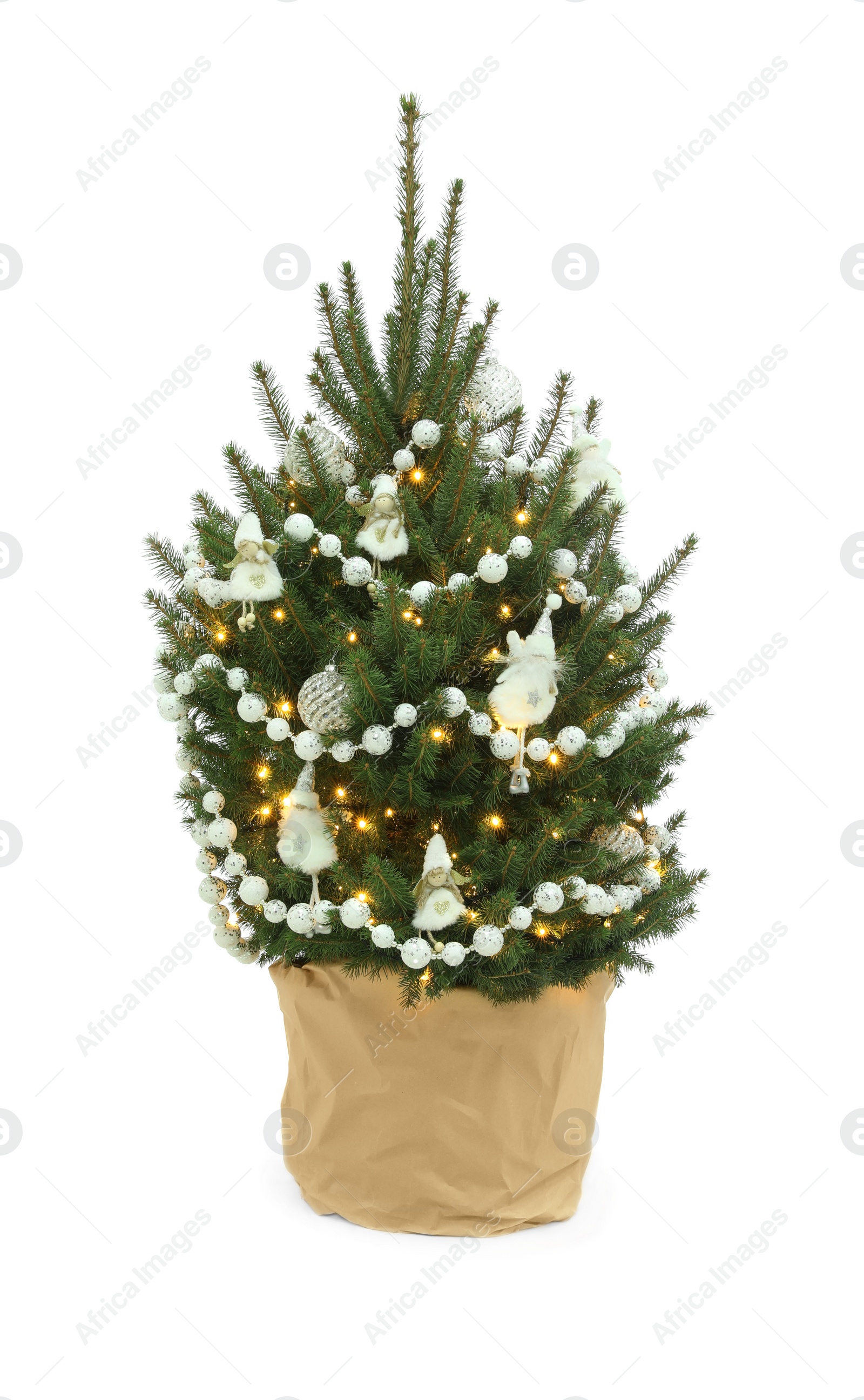 Photo of Natural decorated Christmas tree isolated on white