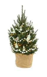 Natural decorated Christmas tree isolated on white