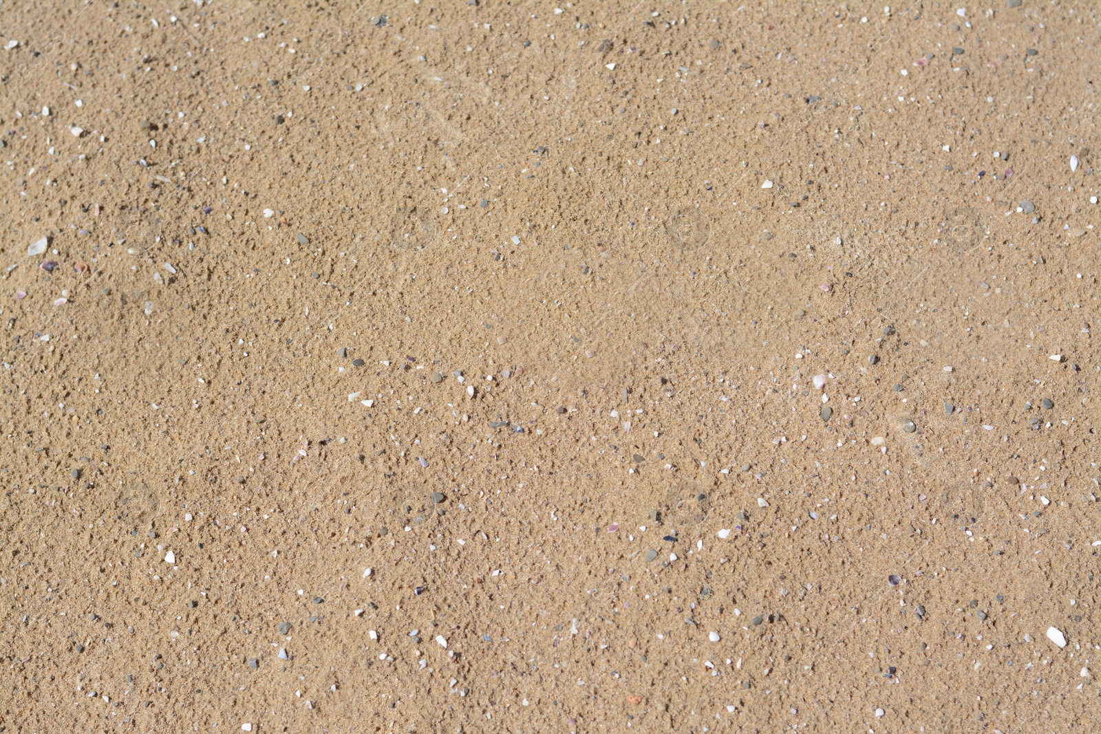 Photo of Texture of sandy beach as background, top view