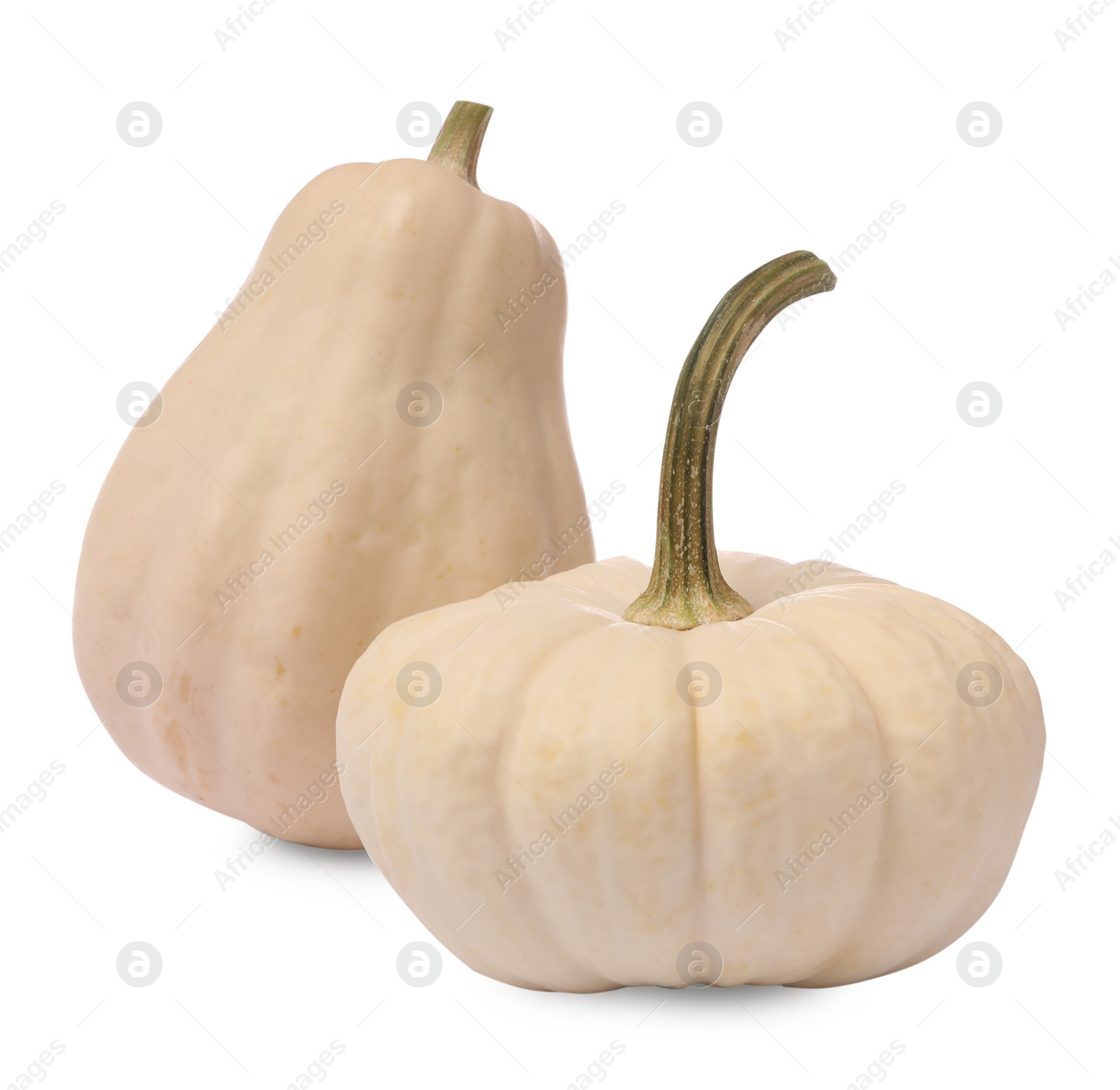 Photo of Two ripe beige pumpkins isolated on white