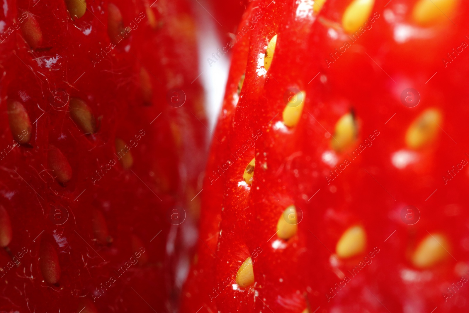 Photo of Tasty fresh ripe strawberries as background, macro view. Fresh berries