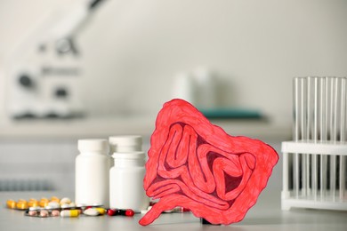 Paper intestine cutout near different pills on table in clinic