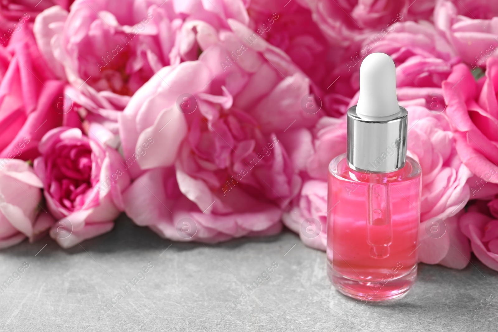 Photo of Bottle of rose essential oil and fresh flowers on table, space for text