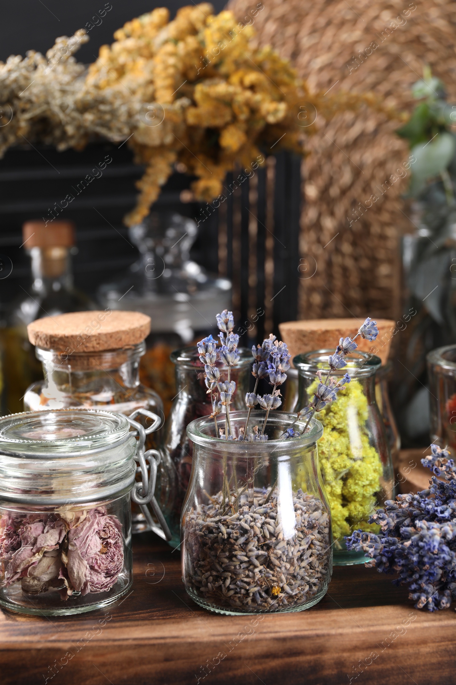 Photo of Many different herbs and dry lavender flowers on wooden table