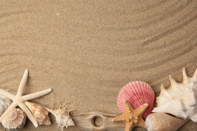 Beautiful starfishes and sea shells on sand, flat lay. Space for text