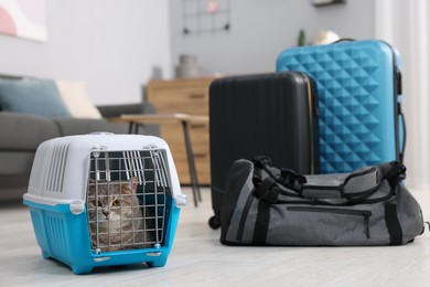 Photo of Travel with pet. Cute cat in carrier at home