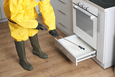 Pest control worker spraying pesticide in kitchen, closeup