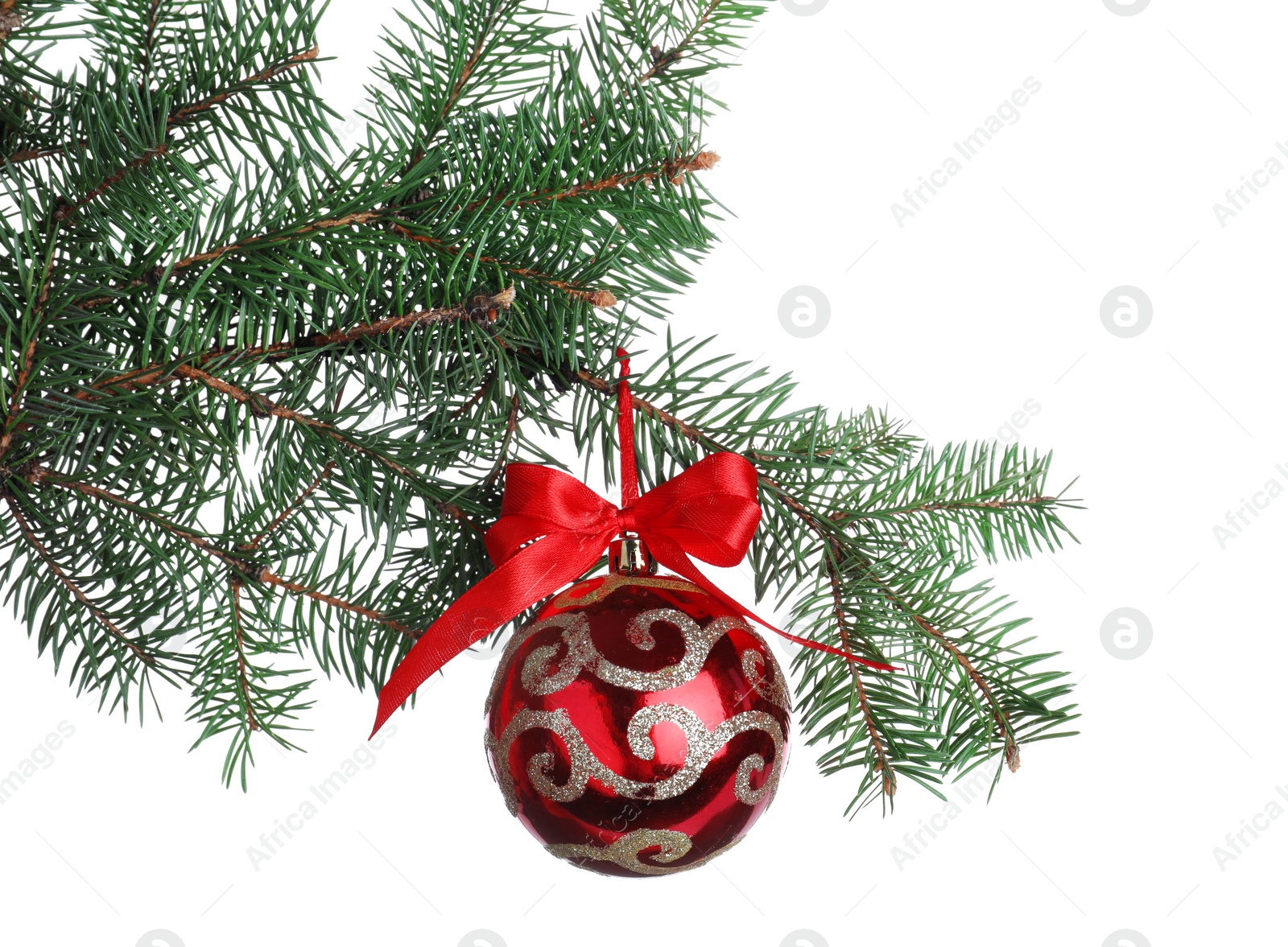 Photo of Red shiny Christmas ball on fir tree branch against white background