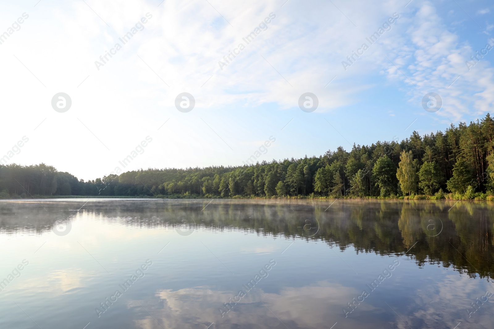 Photo of Beautiful landscape with forest near lake. Camping season