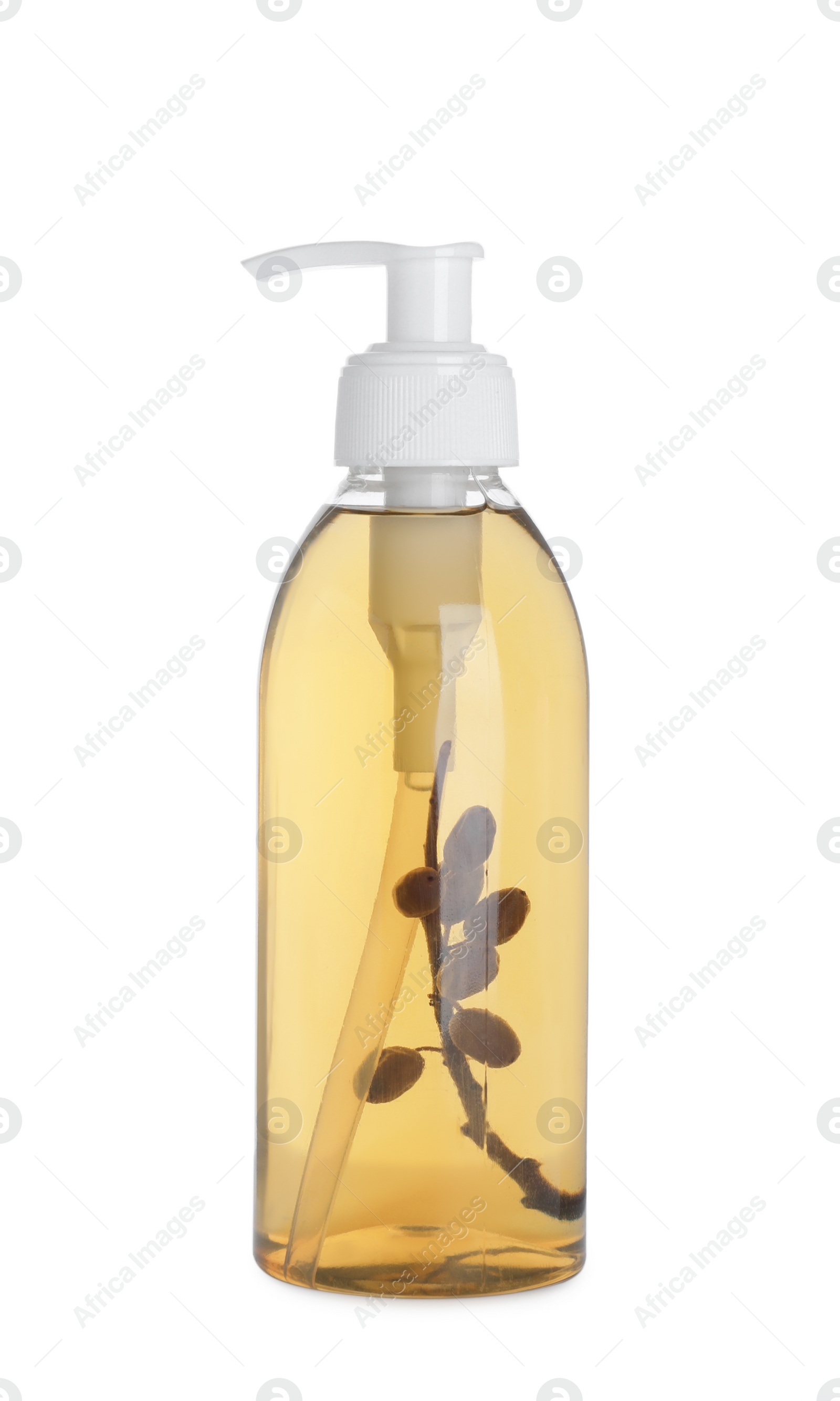 Photo of Dispenser of liquid soap with twig isolated on white