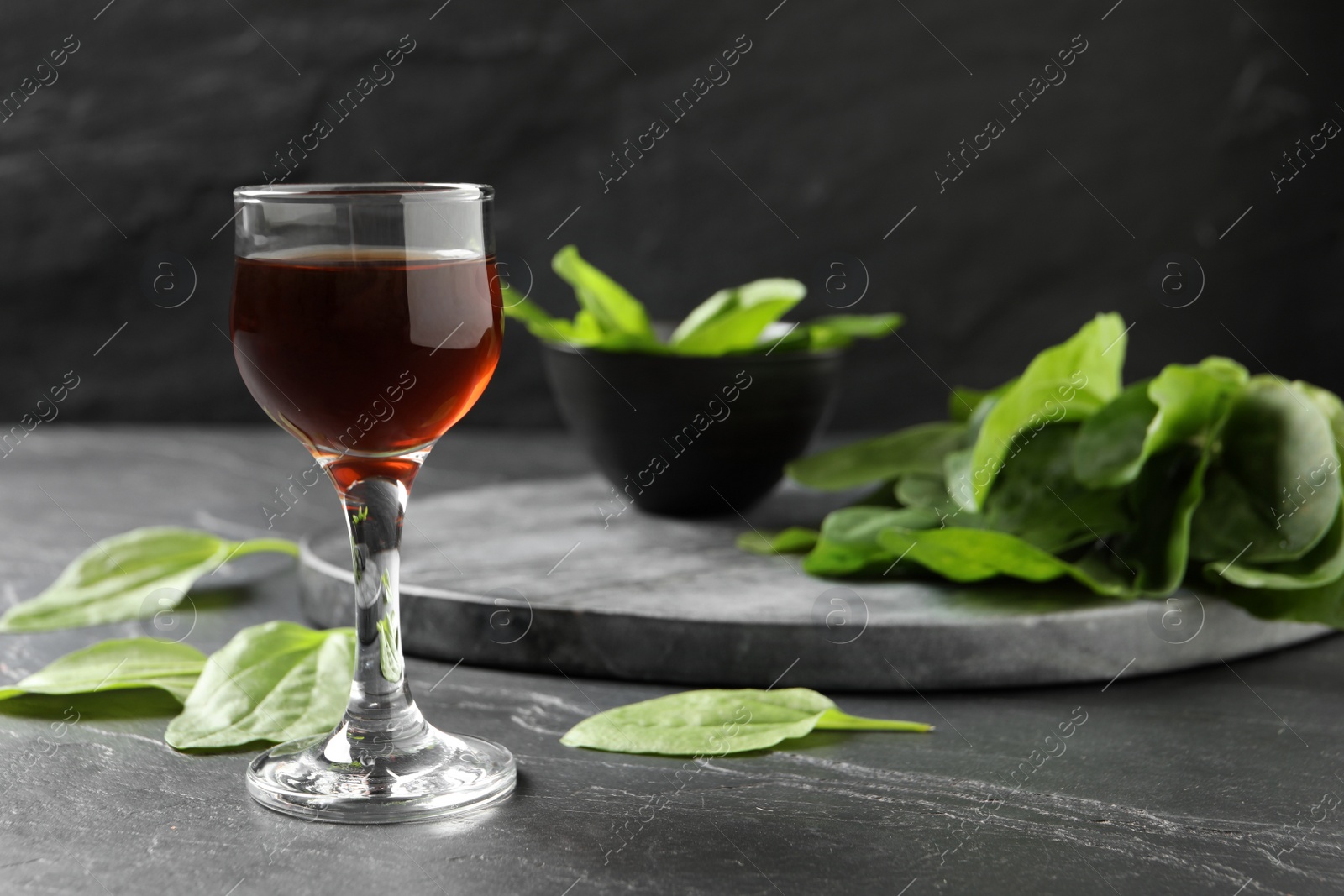 Photo of Broadleaf plantain tincture on grey table, space for text