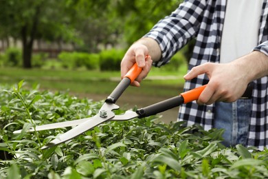 Photo of Worker cutting bush with hedge shears outdoors, closeup. Gardening tool