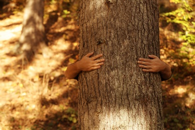 Man hugging tree in forest on sunny day