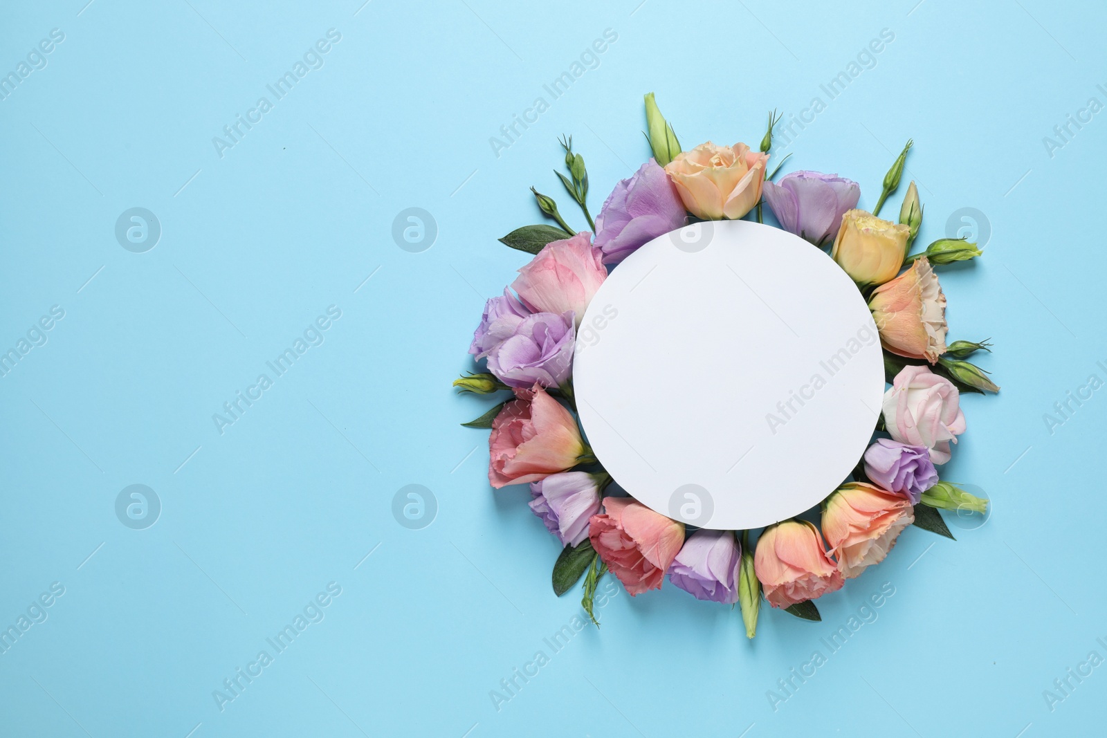 Photo of Flat lay composition with beautiful Eustoma flowers and card on light blue background, space for text