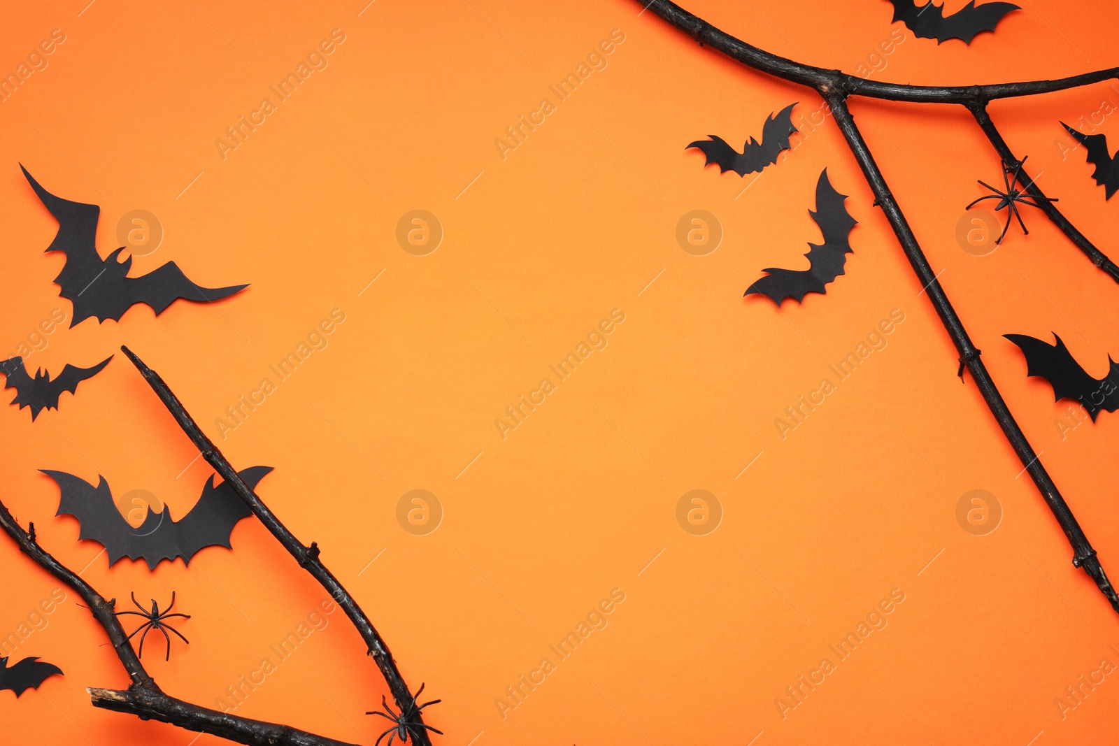 Photo of Flat lay composition with black branches, paper bats and spiders on orange background, space for text. Halloween celebration