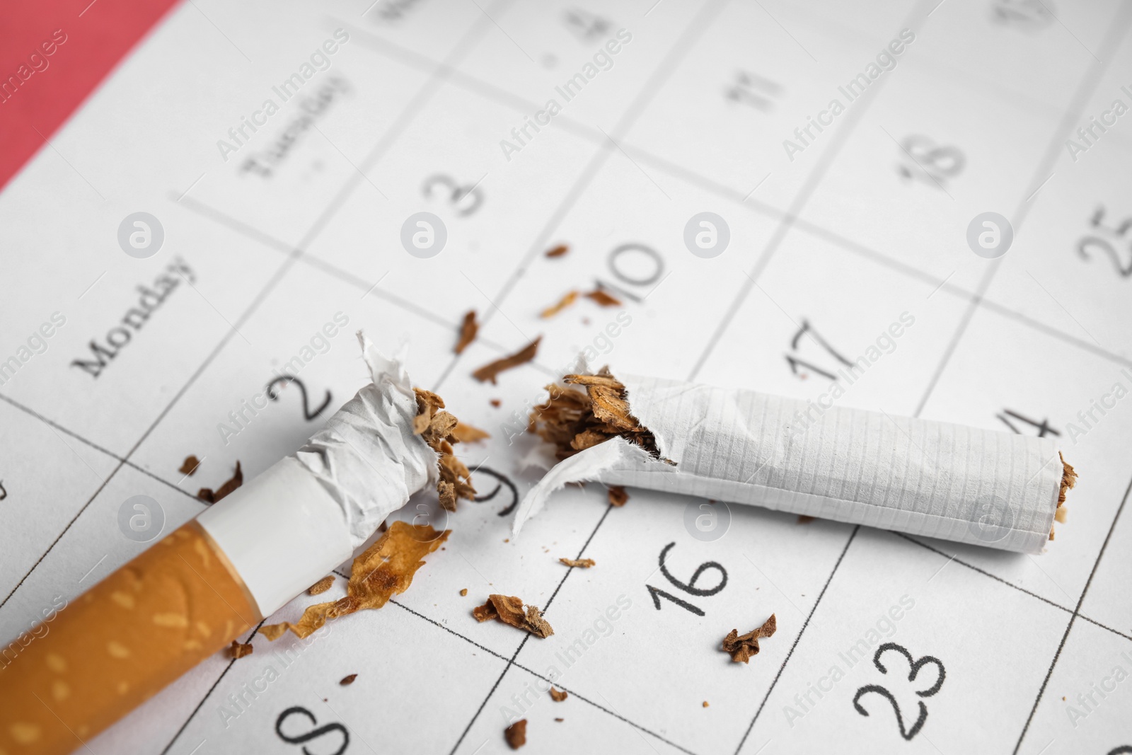 Photo of Calendar sheet with broken cigarette, closeup. Quitting smoking concept