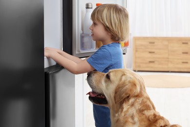 Photo of Little boy and cute Labrador Retriever seeking for food in refrigerator at home